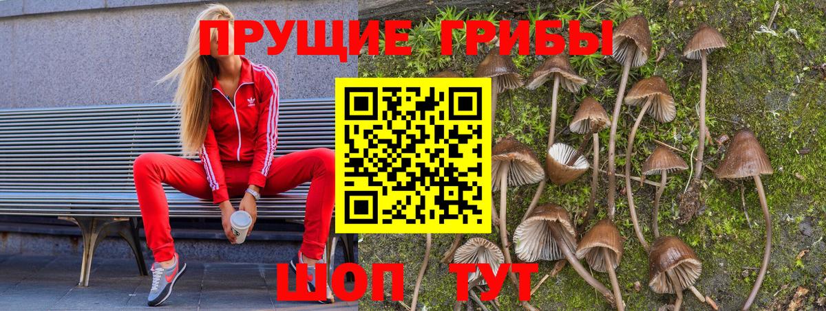 Псилоцибиновые грибы ЛСД Коммунар