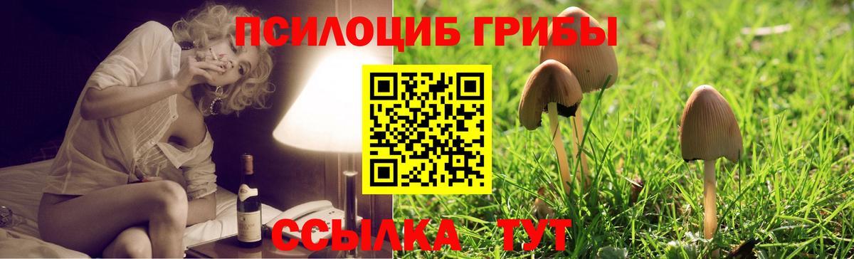 Коммунар  Галлюциногенные грибы мицелий  Вход с VPN  закладки  Галлюциногенные грибы Cubensis 